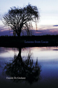 Cover image: Lessons from Lucas 9798885408127
