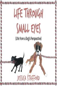 Cover image: Through Small Eyes 9798886160840