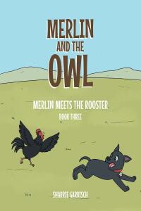 Omslagafbeelding: Merlin and the Owl 9798886440027
