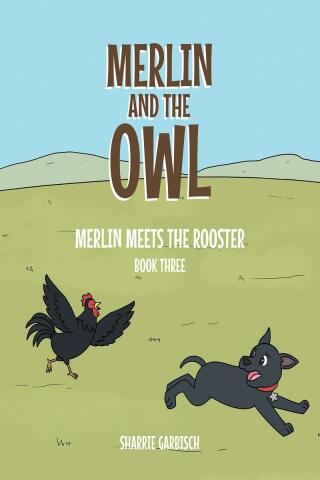 Cover image: Merlin and the Owl 9798886440027