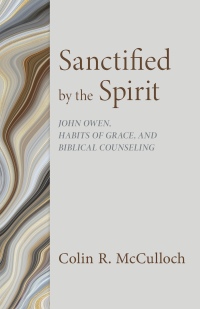 Cover image: Sanctified by the Spirit 9798886861051