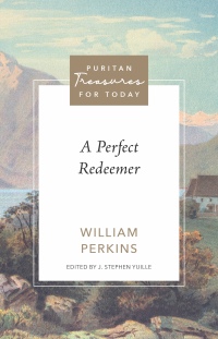 Cover image: A Perfect Redeemer 9798886861372