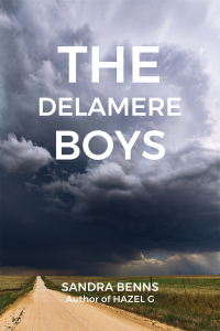 Omslagafbeelding: The Delamere Boys 9798886931983