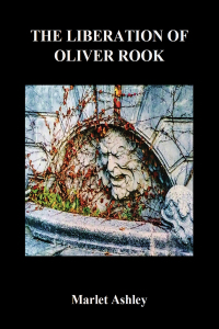 Cover image: The Liberation of Oliver Rook 9798886938630