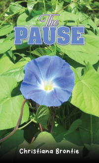 Cover image: The Pause 9798886939323