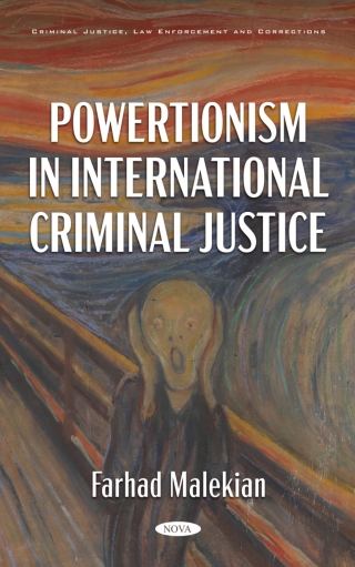 صورة الغلاف: Powertionism in International Criminal Justice 9798886973679