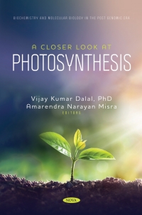 Omslagafbeelding: A Closer Look at Photosynthesis 9798886978155