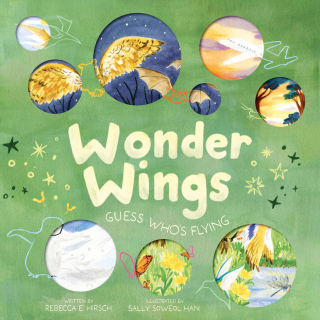 Cover image: Wonder Wings 9781419769252