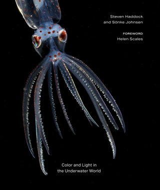 Cover image: The Radiant Sea 9781419772375