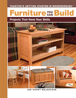 表紙画像: Furniture You Can Build 9781561587964
