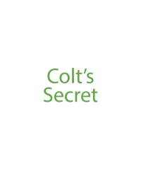 Imagen de portada: Colt's Secret 9798887314495