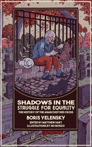 Titelbild: Shadows In the Struggle for Equality 9798887440873