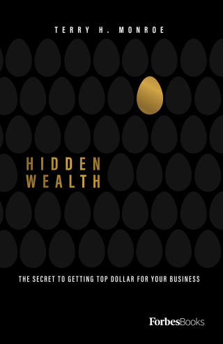 Cover image: Hidden Wealth 9781950863488