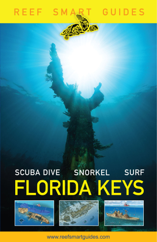 Cover image: Reef Smart Guides Florida Keys 9781684811717