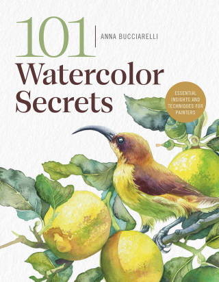 Cover image: 101 Watercolor Secrets 9798888142530