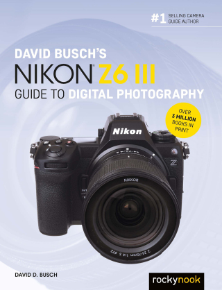 Immagine di copertina: David Busch's Nikon Z6 III Guide to Digital Photography 9798888143308