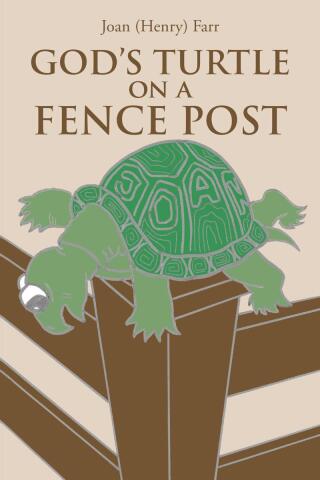 Cover image: God's Turtle on a Fence Post 9798888327425