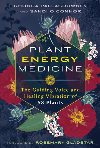 Cover image: Plant Energy Medicine 9798888501757