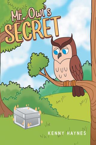 Cover image: Mr. Owl's Secret 9798888519707