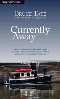 Cover image: Currently Away 1st edition 9798888650271