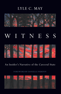 Cover image: Witness 9781642599718