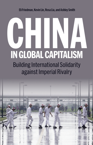 Cover image: China in Global Capitalism 9798888901380