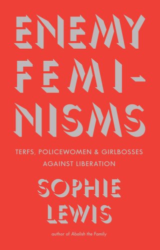Cover image: Enemy Feminisms 9798888902493