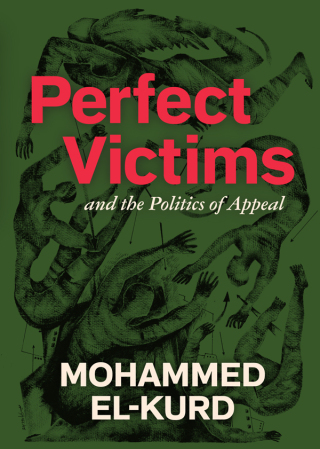 Cover image: Perfect Victims 9798888903155
