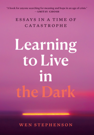 Imagen de portada: Learning to Live in the Dark 9798888903759