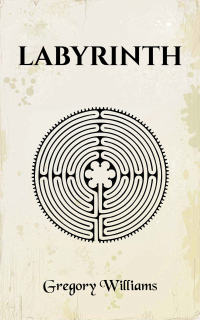 Cover image: Labyrinth 9798889102229