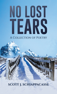 Cover image: No Lost Tears 9798889107330