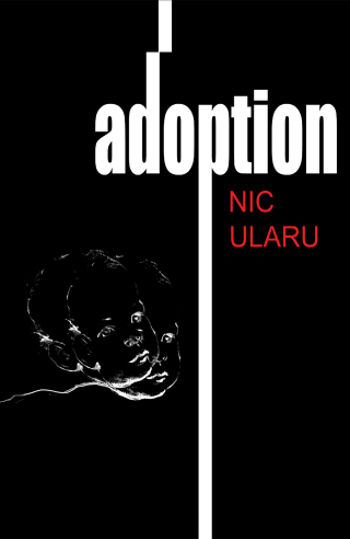 Imagen de portada: Adoption 9798889107316