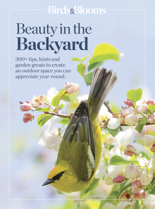 Cover image: Birds & Blooms Beauty in the Backyard