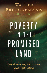 Omslagafbeelding: Poverty in the Promised Land 9798889831396