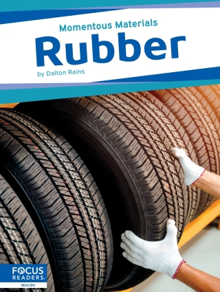 Imagen de portada: Rubber 1st edition 9798889980353
