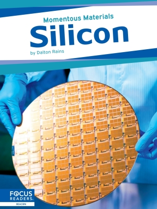 Imagen de portada: Silicon 1st edition 9798889980360