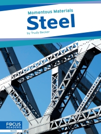 Cover image: Steel 1st edition 9798889980377