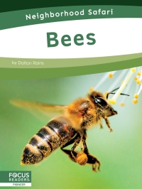 Cover image: Bees 1st edition 9798889981725