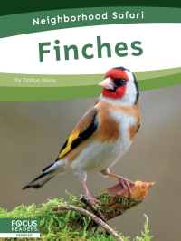 Titelbild: Finches 1st edition 9798889981756