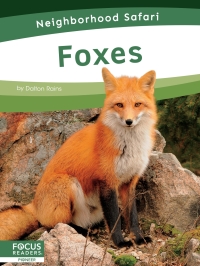 Imagen de portada: Foxes 1st edition 9798889981763