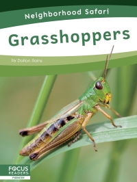 Imagen de portada: Grasshoppers 1st edition 9798889981770