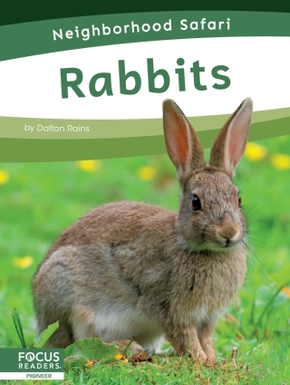 Cover image: Rabbits 1st edition 9798889981787