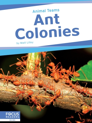 Imagen de portada: Ant Colonies 1st edition 9798889981886