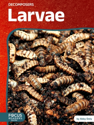 Imagen de portada: Larvae 1st edition 9798889983996