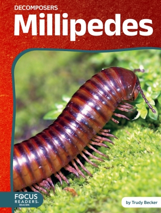 صورة الغلاف: Millipedes 1st edition 9798889984009