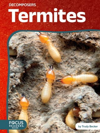 Imagen de portada: Termites 1st edition 9798889984016