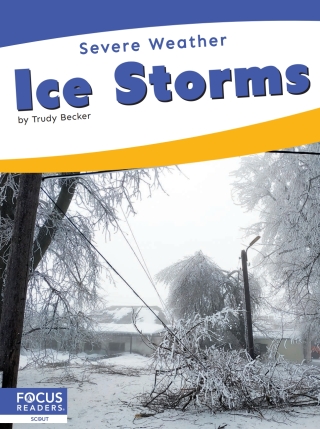 Imagen de portada: Ice Storms 1st edition 9798889986294