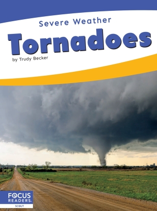 Imagen de portada: Tornadoes 1st edition 9798889986300