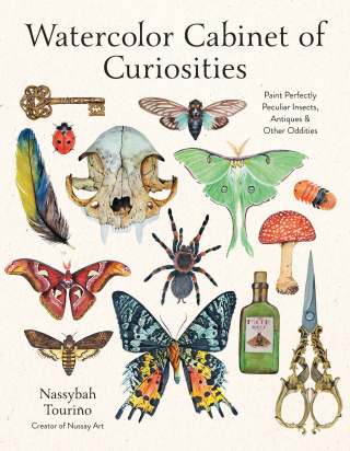 Cover image: Watercolor Cabinet of Curiosities 9798890032669
