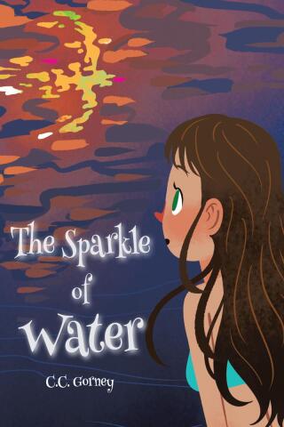 Cover image: The Sparkle of Water 9798890430731